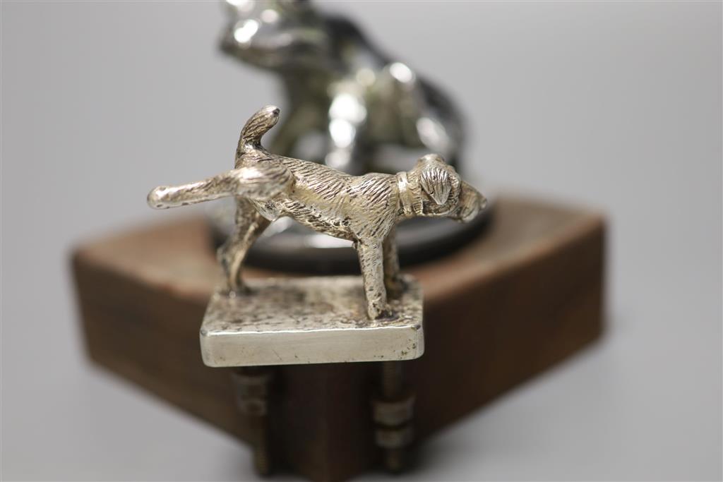 An unusual novelty 20th century chrome car mascot in the form of a urinating terrier, stamped Lejeune, made in England to underside,
